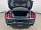 2019 Ford Mustang Bullitt